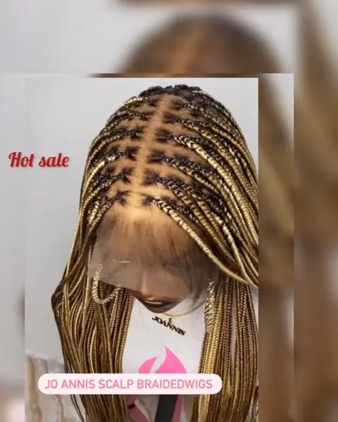 Bianca highlights (full lace wig ,color 27/613 highlights)